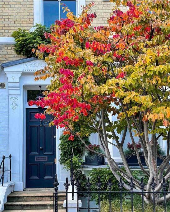 Chelsea Posh Apartment Londres Extérieur photo